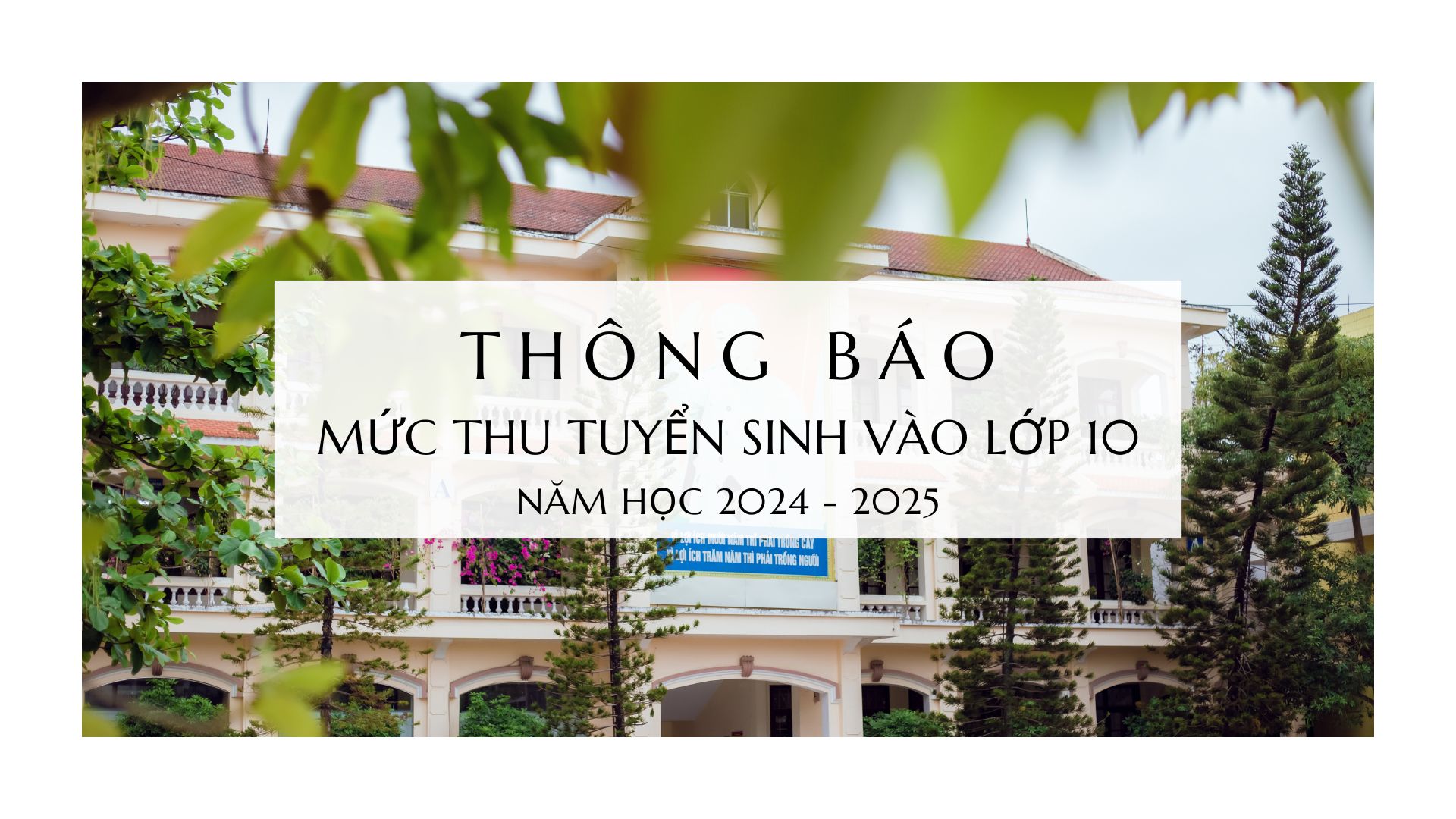 Thông báo về mức thu dịch vụ Tuyển sinh lớp 10 trường THPT chuyên Lê Hồng Phong năm học 2024-2025